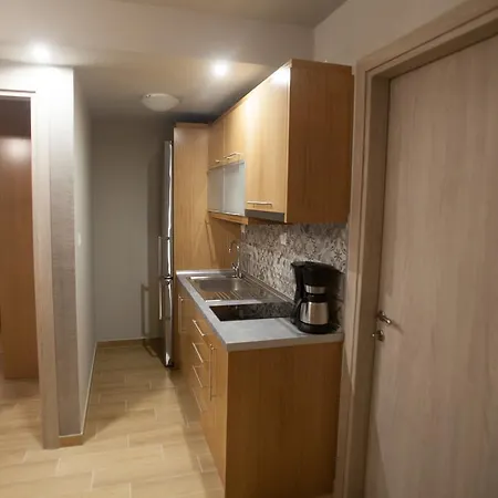 Pallas Luxury Apartament Amoliani